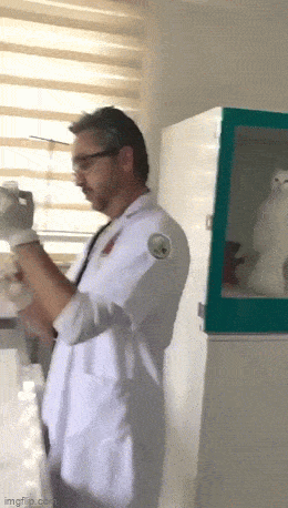 Подборка гифок -  15.12.2025