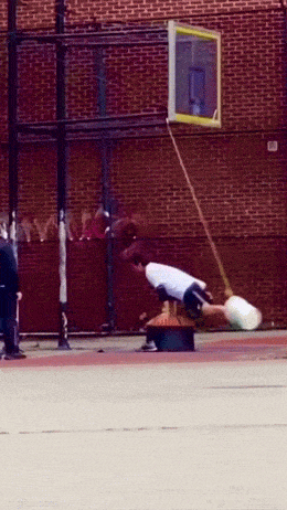 Подборка гифок -  15.12.2025