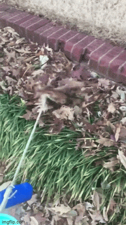 Подборка гифок -  15.12.2025