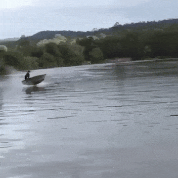 Подборка гифок -  15.12.2025