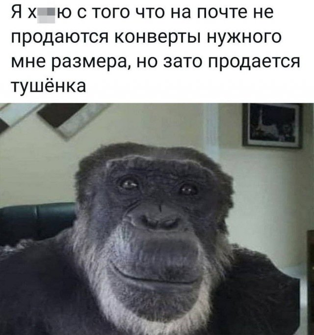 Лучшие шутки и мемы из Сети - 16.12.2025