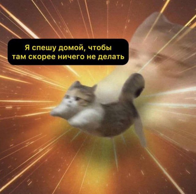 Лучшие шутки и мемы из Сети - 16.12.2025