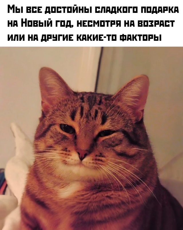 Лучшие шутки и мемы из Сети - 16.12.2025