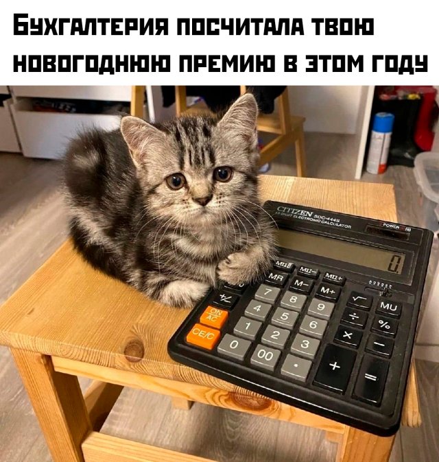 Лучшие шутки и мемы из Сети - 16.12.2025