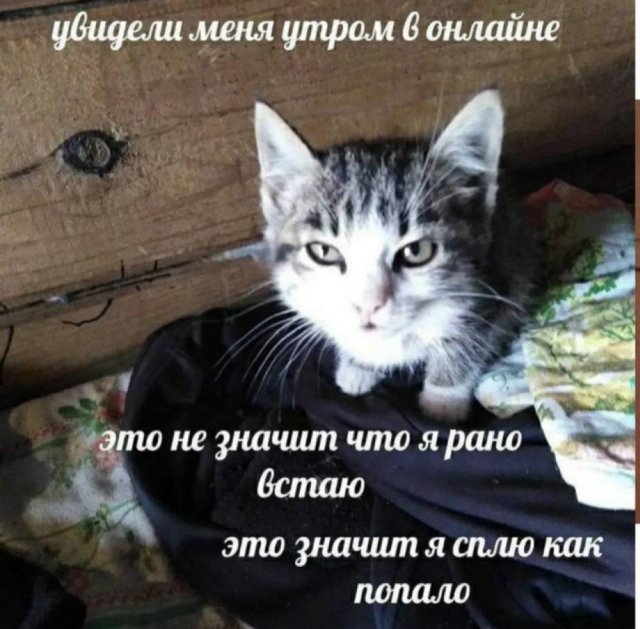 Лучшие шутки и мемы из Сети - 16.12.2025