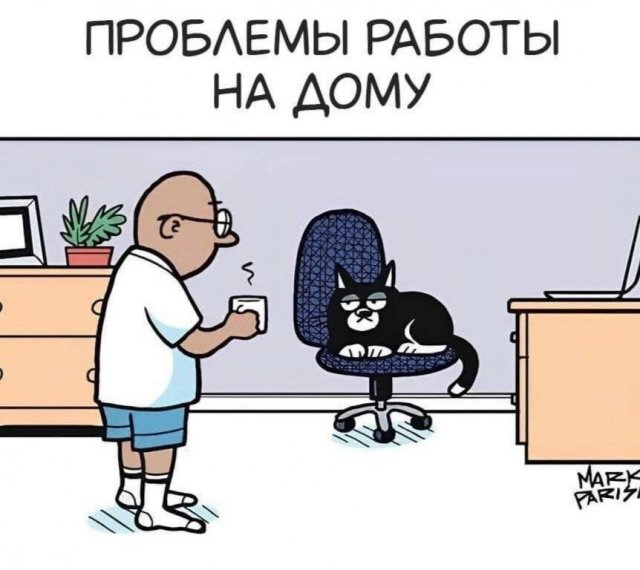 Лучшие шутки и мемы из Сети - 16.12.2025