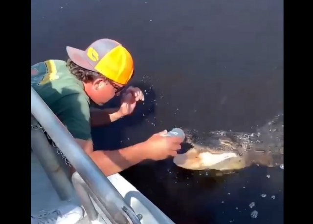 Подержите мое пиво