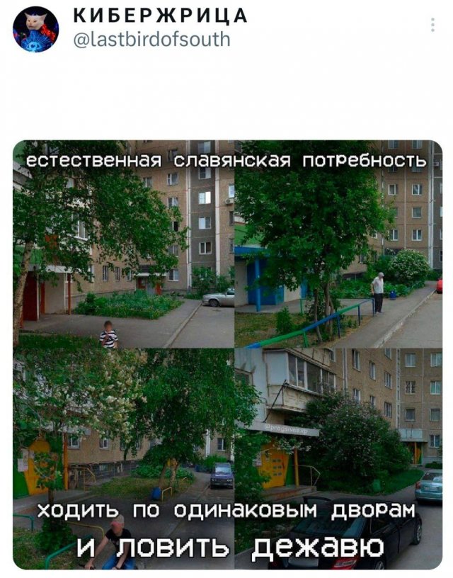 Подборка забавных твитов обо всем