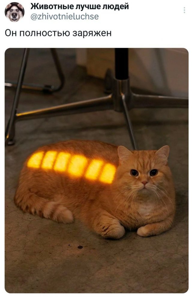 Подборка забавных твитов обо всем