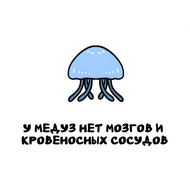 Интересные факты на все случаи жизни