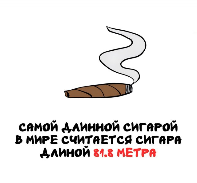 Интересные факты на все случаи жизни