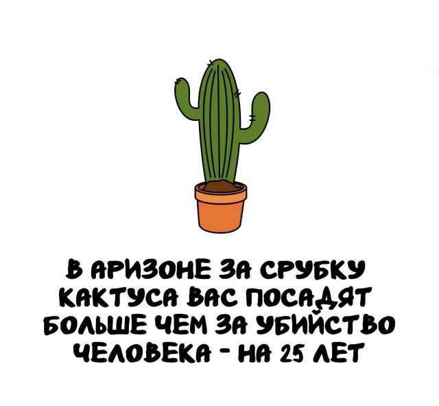 Интересные факты на все случаи жизни