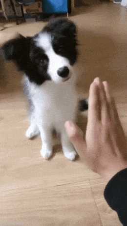 Подборка гифок -  17.12.2025