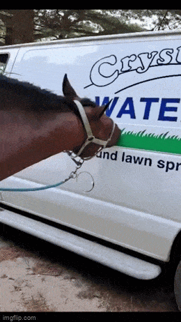 Подборка гифок -  17.12.2025