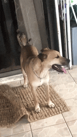 Подборка гифок -  17.12.2025