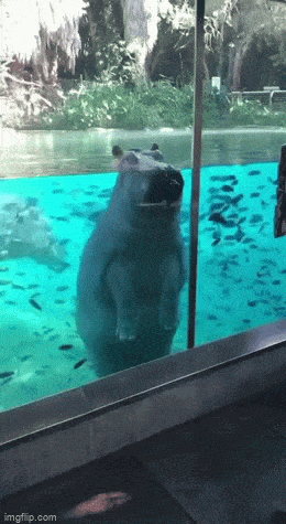 Подборка гифок -  17.12.2025