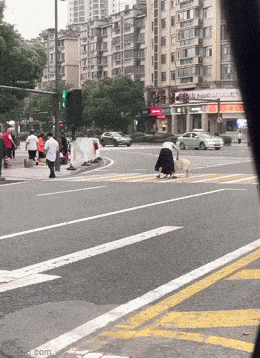 Подборка гифок -  17.12.2025