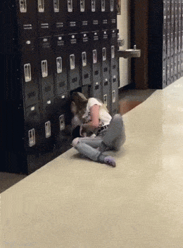 Подборка гифок -  17.12.2025