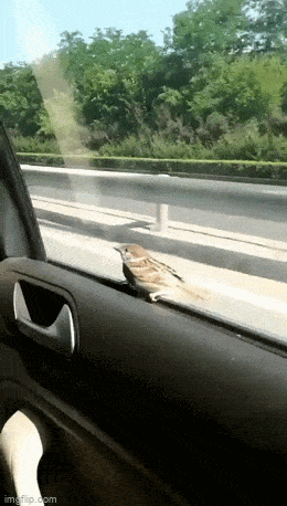 Подборка гифок -  17.12.2025