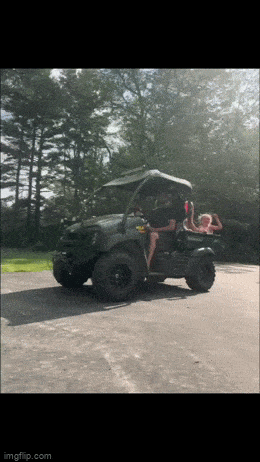 Подборка гифок -  17.12.2025