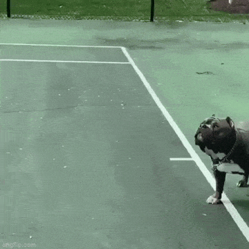 Подборка гифок -  17.12.2025