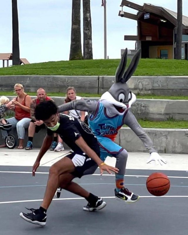 Подборка картинок. Вечерний выпуск - 17.12.2025