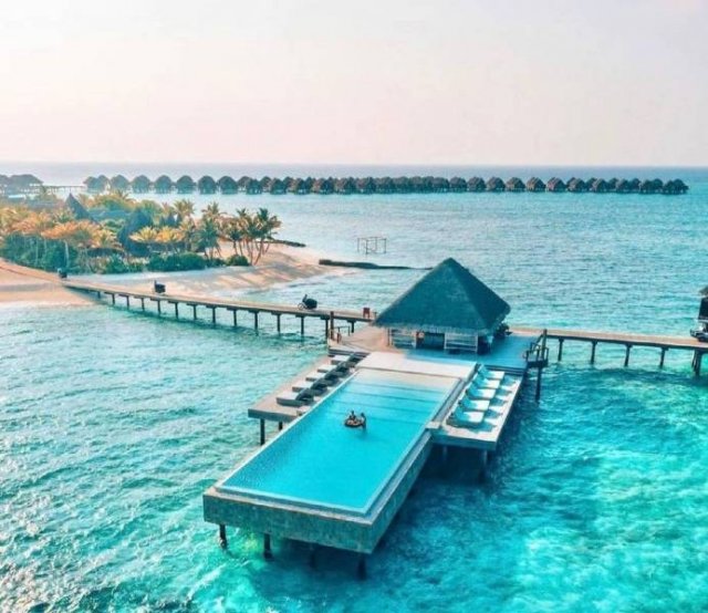 Подборка картинок. Вечерний выпуск - 17.12.2025