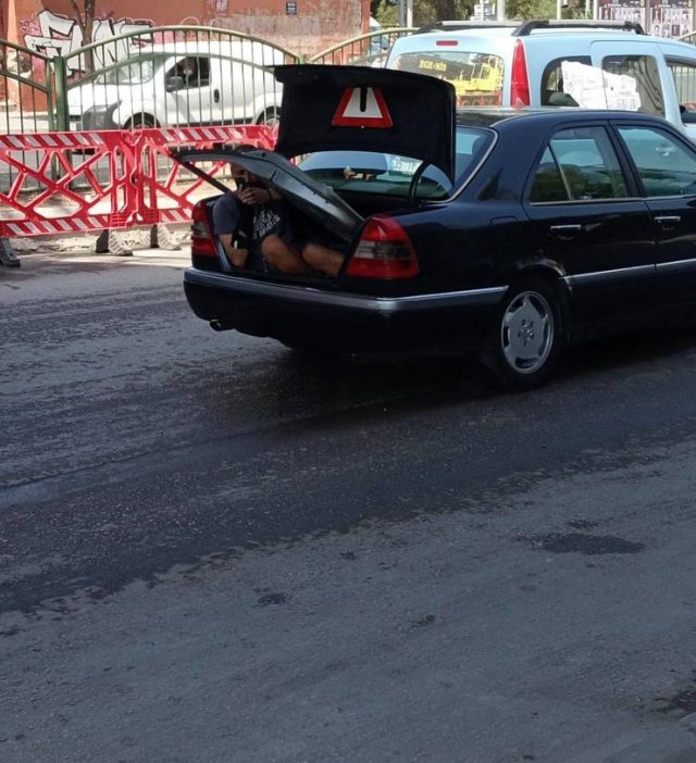 Подборка картинок. Вечерний выпуск - 17.12.2025