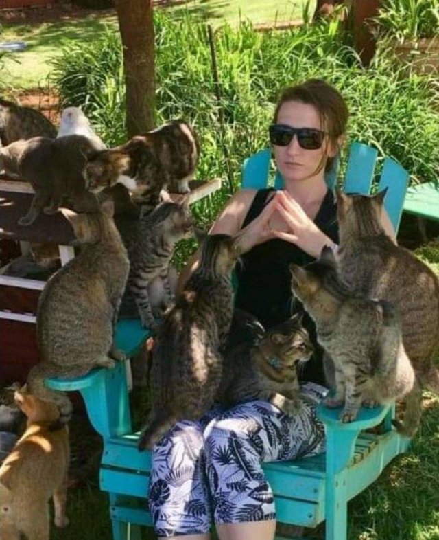 Подборка картинок. Вечерний выпуск - 17.12.2025