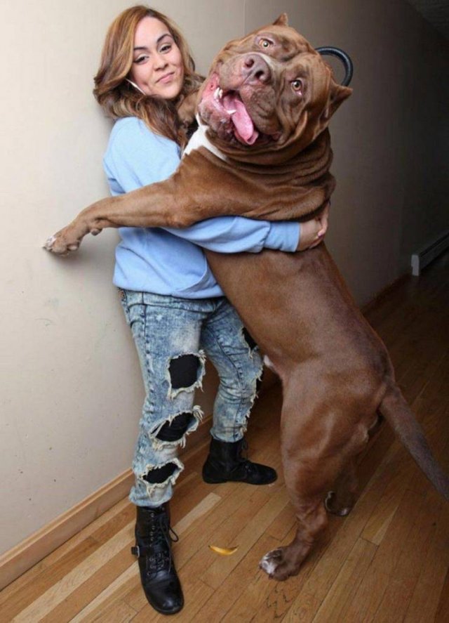 Подборка картинок. Вечерний выпуск - 17.12.2025