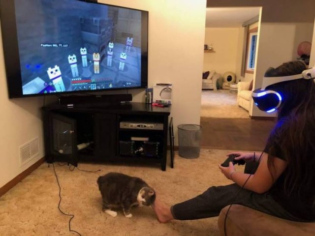 Подборка картинок. Вечерний выпуск - 17.12.2025