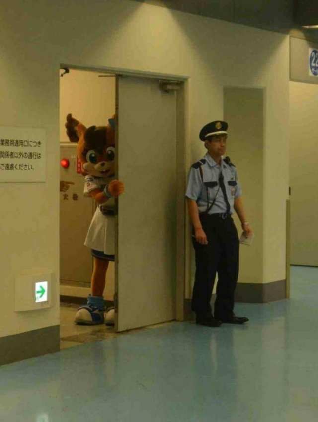 Подборка картинок. Вечерний выпуск - 17.12.2025