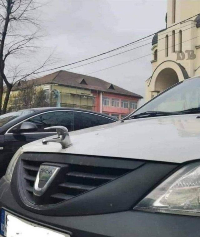 Подборка картинок. Вечерний выпуск - 17.12.2025