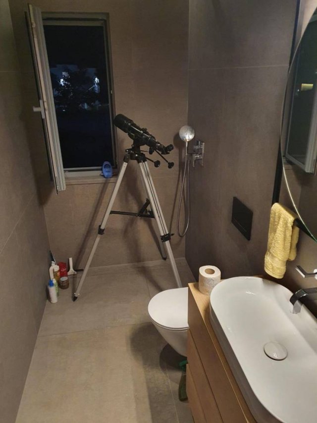 Подборка картинок. Вечерний выпуск - 17.12.2025