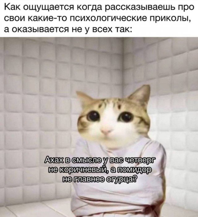 Лучшие шутки и мемы из Сети - 17.12.2025