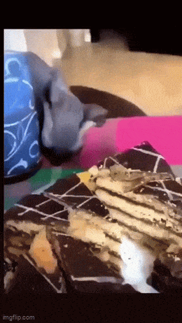 Подборка гифок -  18.12.2025