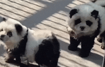 Подборка гифок -  18.12.2025