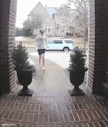 Подборка гифок -  18.12.2025