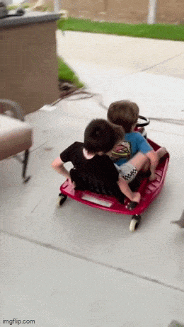 Подборка гифок -  18.12.2025