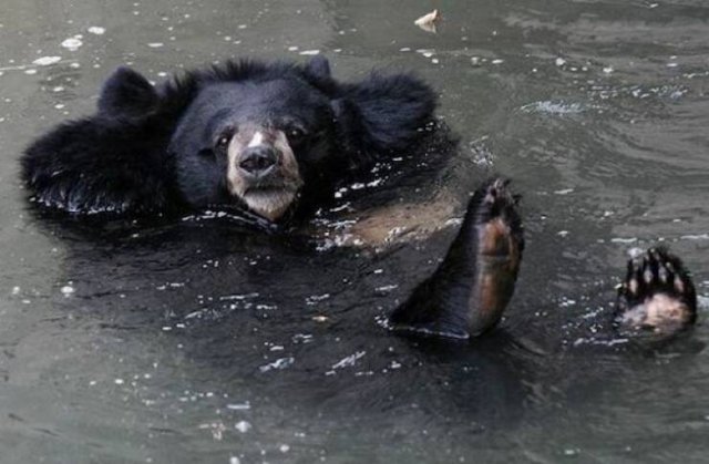 Подборка картинок. Вечерний выпуск - 18.12.2025