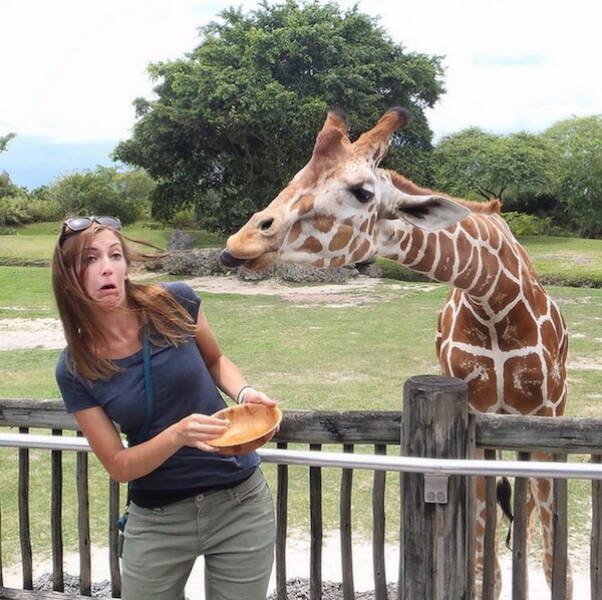 Подборка картинок. Вечерний выпуск - 18.12.2025