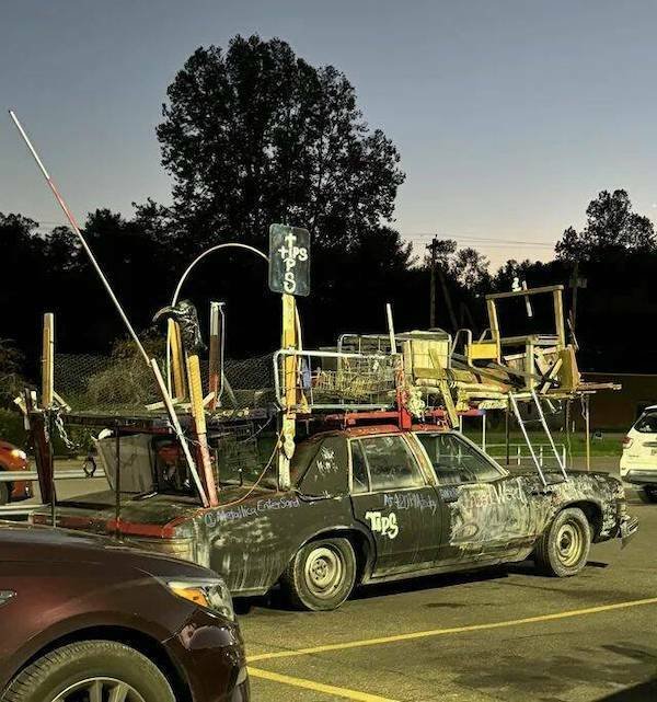 Подборка картинок. Вечерний выпуск - 18.12.2025