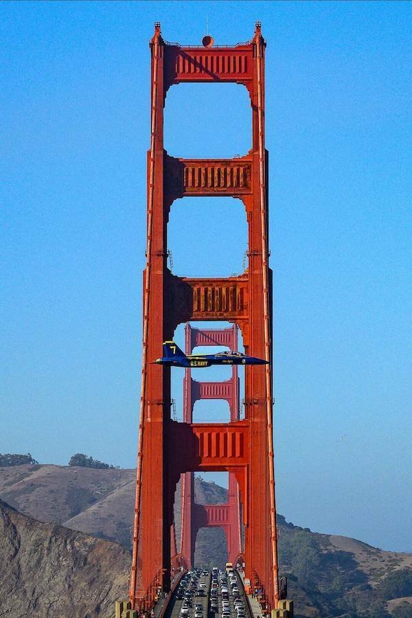 Подборка картинок. Вечерний выпуск - 18.12.2025