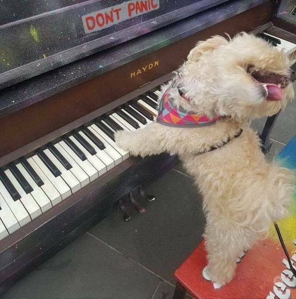 Подборка картинок. Вечерний выпуск - 18.12.2025