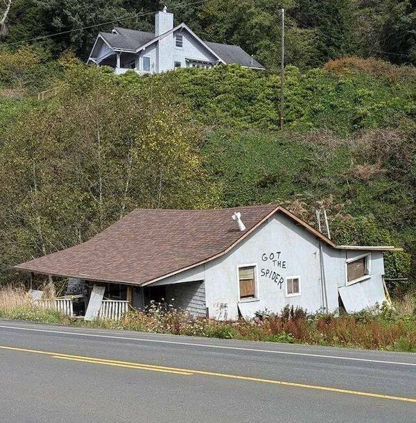 Подборка картинок. Вечерний выпуск - 18.12.2025