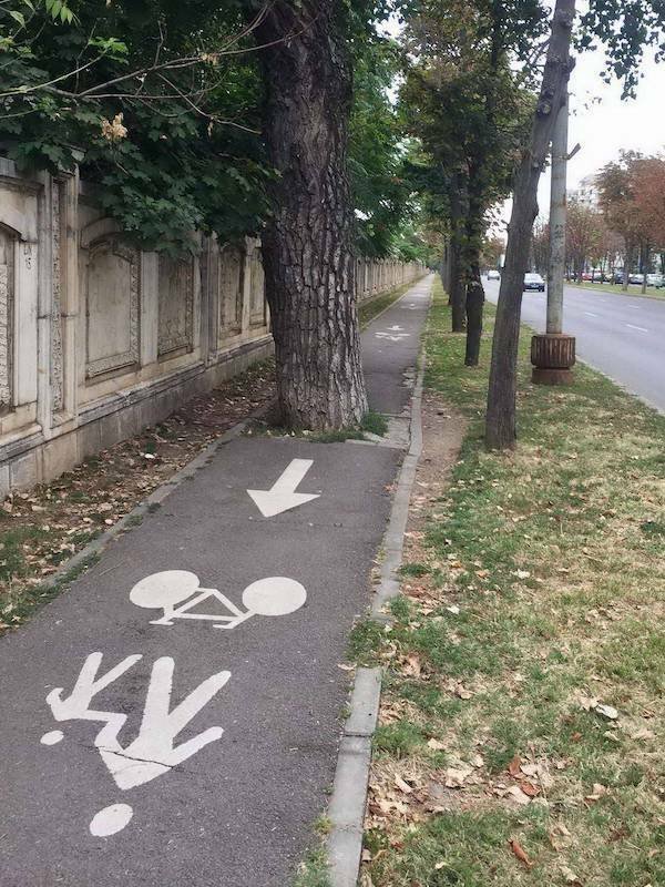 Подборка картинок. Вечерний выпуск - 18.12.2025