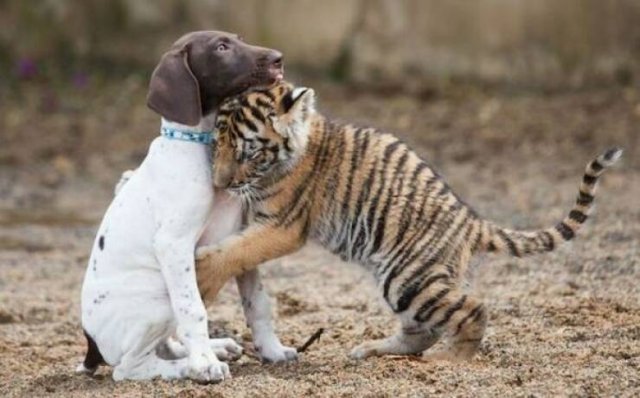 Подборка картинок. Вечерний выпуск - 18.12.2025