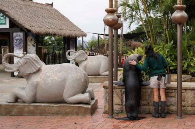 Подборка картинок. Вечерний выпуск - 18.12.2025