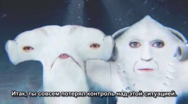 Лучшие шутки и мемы из Сети - 18.12.2025