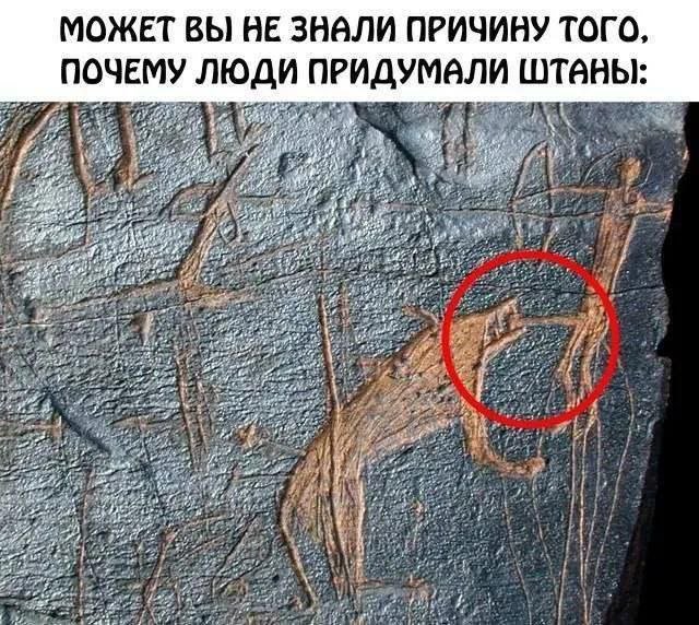 Лучшие шутки и мемы из Сети - 18.12.2025